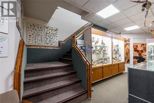223 Christina Street North, Sarnia, ON 