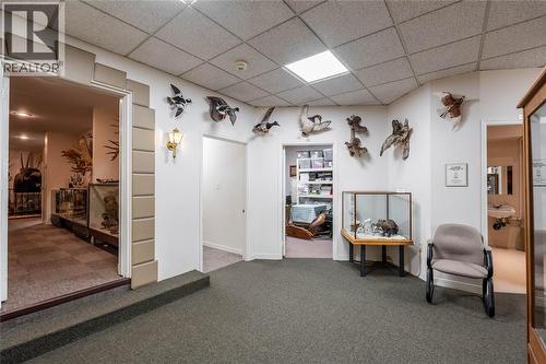 223 Christina Street North, Sarnia, ON 