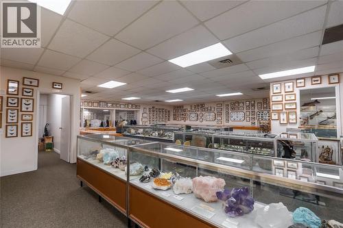 223 Christina Street North, Sarnia, ON 