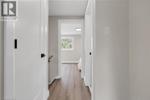 Hallway featuring wood-finish flooring, light gray wall paint, white trim, and white doors with matte black hardware - 71 Blucher Street Unit# G, Kitchener, ON 