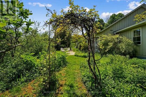2904 Shelter Valley Road, Alnwick/Haldimand, ON 