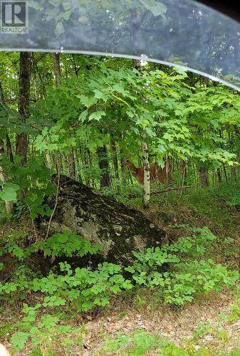 1246 Sugar Bush Lane, Minden Hills (Minden), ON 