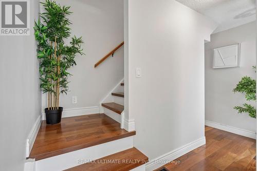 Main - 34 Compton Crescent, Toronto, ON 