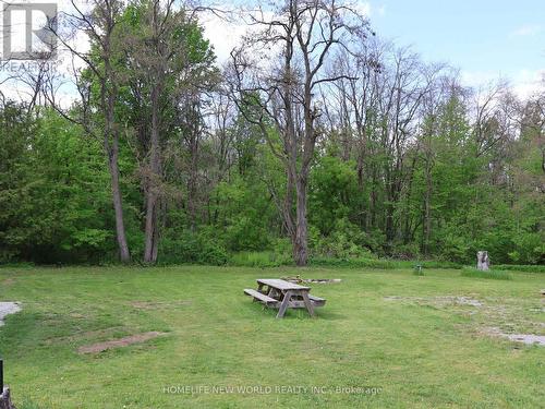 1028 Monck Road, Ramara, ON 