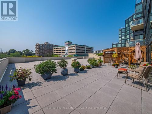 310 - 415 Locust Street, Burlington (Brant), ON - Outdoor