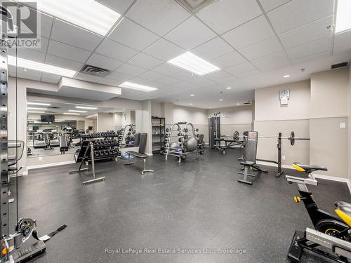 Recently Updated Gym - 310 - 415 Locust Street, Burlington (Brant), ON - Indoor Photo Showing Gym Room