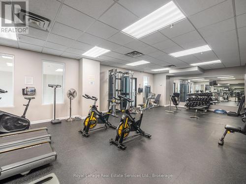 Recently Updated Gym - 310 - 415 Locust Street, Burlington (Brant), ON - Indoor Photo Showing Gym Room