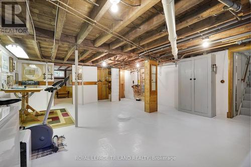 249 Halls Mill Road, London South (South B), ON - Indoor Photo Showing Basement