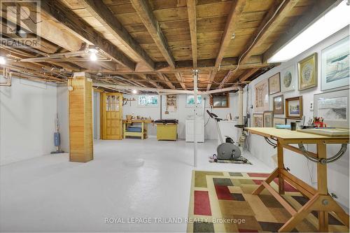 249 Halls Mill Road, London South (South B), ON - Indoor Photo Showing Basement