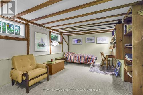 249 Halls Mill Road, London South (South B), ON - Indoor Photo Showing Basement