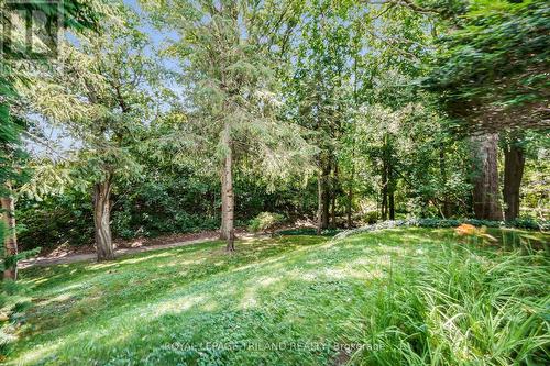 249 Halls Mill Road, London South (South B), ON - Outdoor