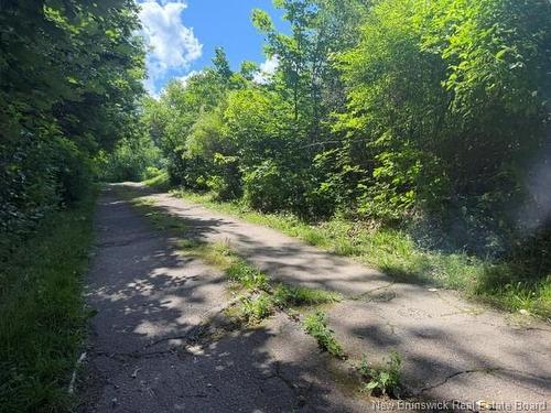 88 Gowland Mountain Rd, Elgin, NB 