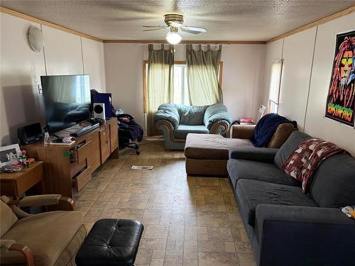 1 Mobile Street, Carman, MB - Indoor Photo Showing Living Room