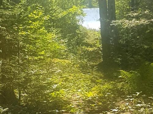 Lot Middle Road, Fort Lawrence, NS 
