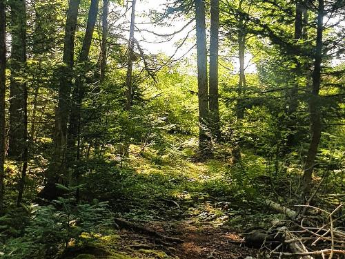 Lot Middle Road, Fort Lawrence, NS 