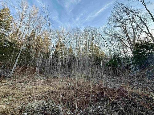 Lot Highway 4, Aulds Cove, NS 