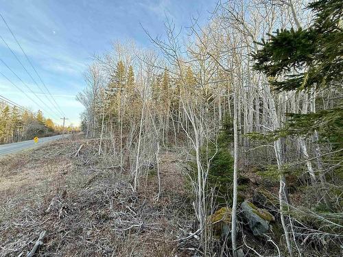 Lot Highway 4, Aulds Cove, NS 