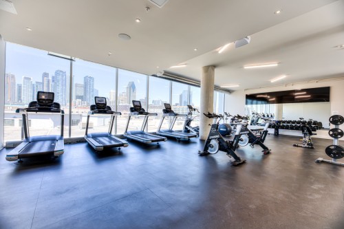 Exercise Room - 711B-1400 Rue Ottawa, Montréal (Le Sud-Ouest), QC - Indoor Photo Showing Gym Room