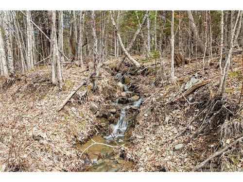 00 Everett Lane, Keswick Ridge, NB 