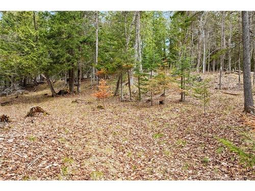 00 Everett Lane, Keswick Ridge, NB 