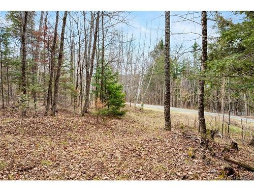 00 Everett Lane, Keswick Ridge, NB 