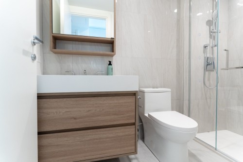 Salle de bains - 1610-1518 Rue Sherbrooke O., Montréal (Ville-Marie), QC - Indoor Photo Showing Bathroom