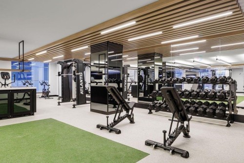 Salle d'exercice - 1610-1518 Rue Sherbrooke O., Montréal (Ville-Marie), QC - Indoor Photo Showing Gym Room