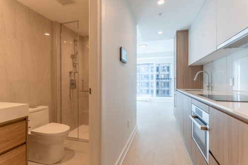 Hall d'entrée/Vestibule - 1610-1518 Rue Sherbrooke O., Montréal (Ville-Marie), QC - Indoor Photo Showing Bathroom
