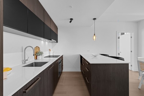 Kitchen - 2206-628 Rue St-Jacques, Montréal (Ville-Marie), QC - Indoor Photo Showing Kitchen With Upgraded Kitchen