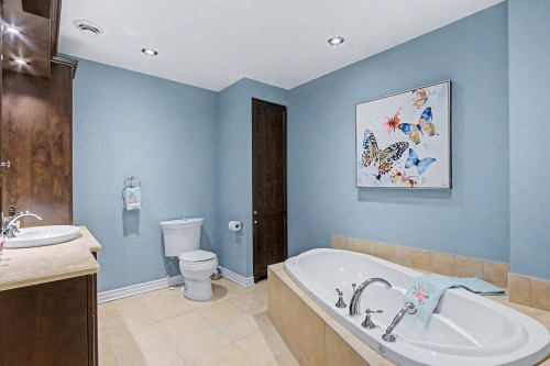 Bathroom - 206-3000 Boul. De Boucherville, Saint-Bruno-De-Montarville, QC - Indoor Photo Showing Bathroom