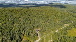 Aerial View - 