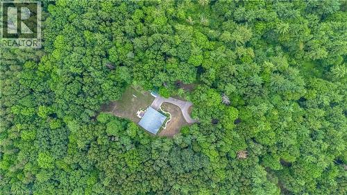 Ultimate Privacy Approx 8.5 Acres - 156 St Johns Road W, Simcoe, ON - Outdoor