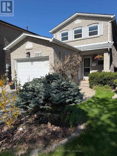 1603 Dewberry Crescent, Mississauga, ON - Outdoor