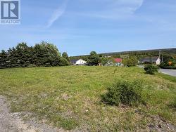 357-359 Harvey Street Harbour Grace, NL A0A 2M0