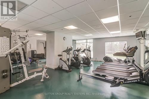 404 - 80 Palace Pier Court, Toronto, ON - Indoor Photo Showing Gym Room