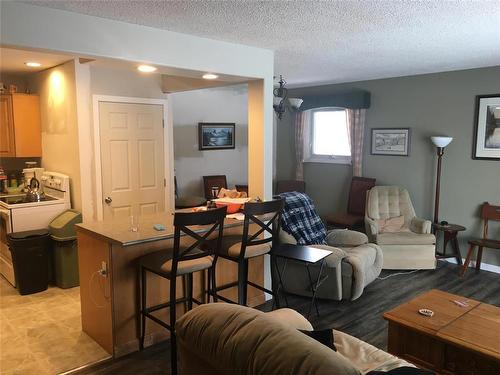 53 Clement Drive, Brandon, MB - Indoor Photo Showing Living Room