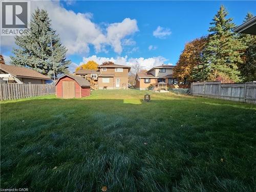 Expansive green lawn with a red storage shed - 66 Summit Avenue, Kitchener, ON - Outdoor