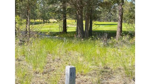 121 Corral Boulevard, Cranbrook, BC - Outdoor With View