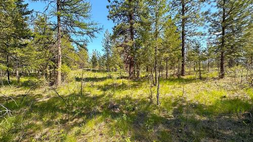 121 Corral Boulevard, Cranbrook, BC - Outdoor With View