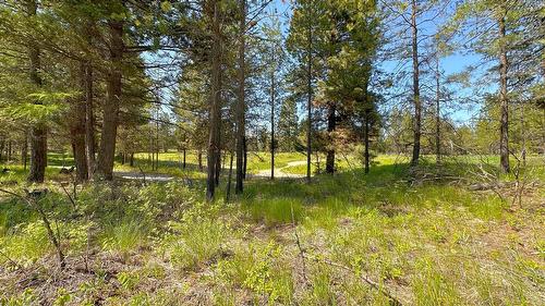 121 Corral Boulevard, Cranbrook, BC - Outdoor With View