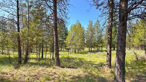 121 Corral Boulevard, Cranbrook, BC - Outdoor With View