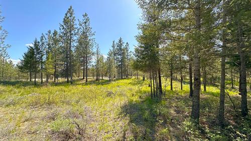 121 Corral Boulevard, Cranbrook, BC - Outdoor With View