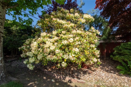 8071 Queen St, Crofton, BC 