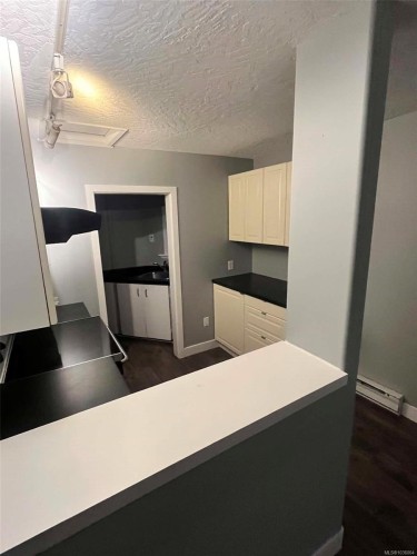 541 Alpha St, Victoria, BC 