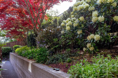 202-116 Queens Rd, Duncan, BC 