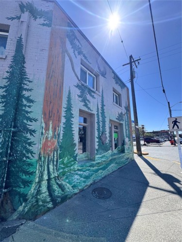 504 Herald St, Victoria, BC 