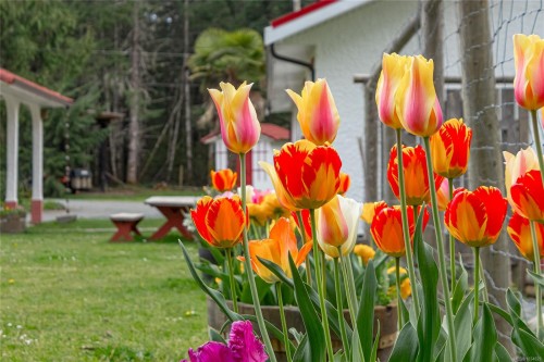 5150 & 5160 Lee Rd, Duncan, BC 