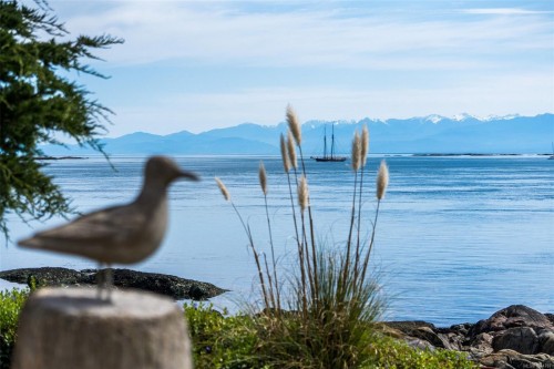 3035 Mcanally Rd, Saanich, BC 