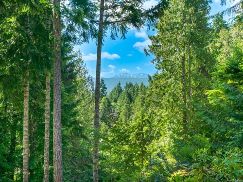 1055 Spider Lake Rd, Qualicum Beach, BC 