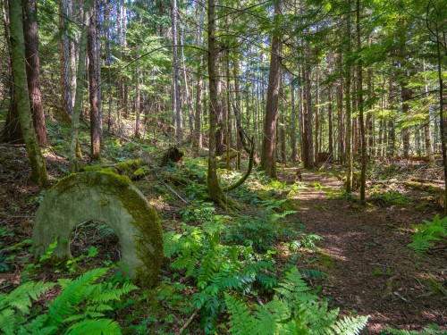 1055 Spider Lake Rd, Qualicum Beach, BC 